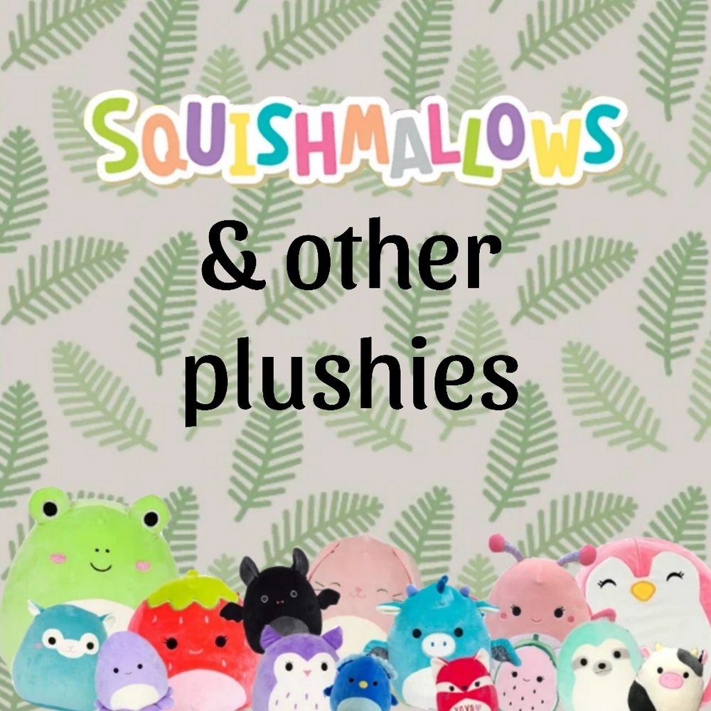 Squishmallow Plushies Closet Divider
